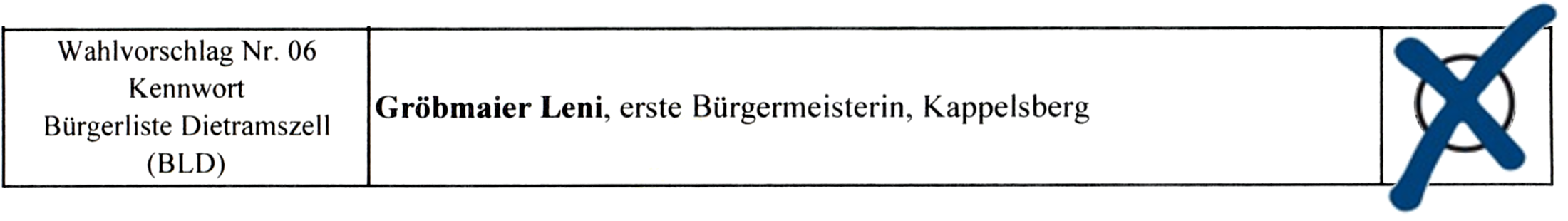Bürgermeisterwahl