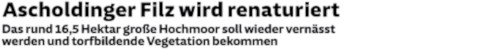 181101 Sueddeutsche Zeitung 1 h