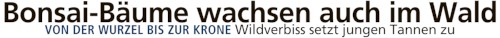 190713 Isar Loisachbote 1 h