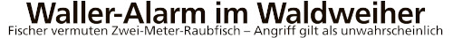 190713 Isar Loisachbote 1 h
